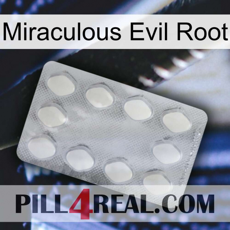 Miraculous Evil Root 16